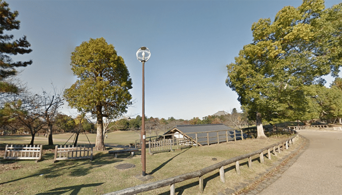 奈良公園